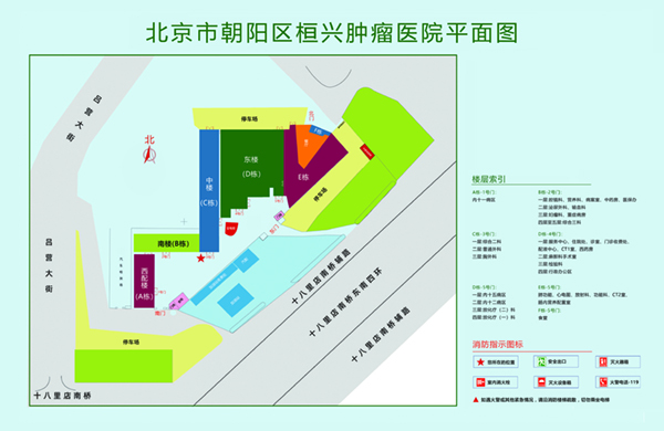 捏抽舔抽插北京市朝阳区桓兴肿瘤医院平面图